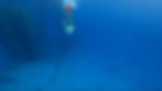 GH011109_1637912383107.jpg
