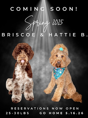 Briscoe-HattieB..png