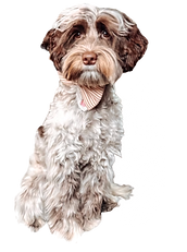 LEO_edited_edited.png