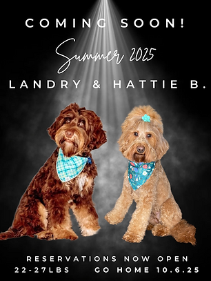 LANDRY&HATTIEB..png
