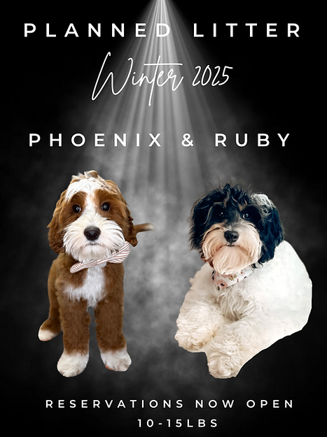 PHOENIXRUBY.png