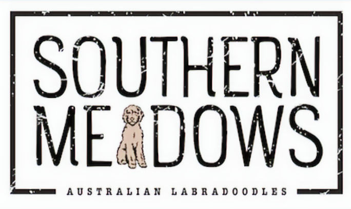 Southern Meadows Australian Labradoodles in Alabama