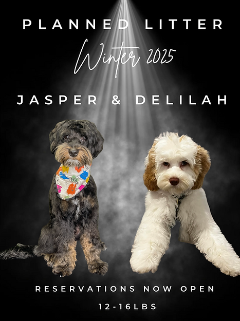 JASPERDELILAH.png