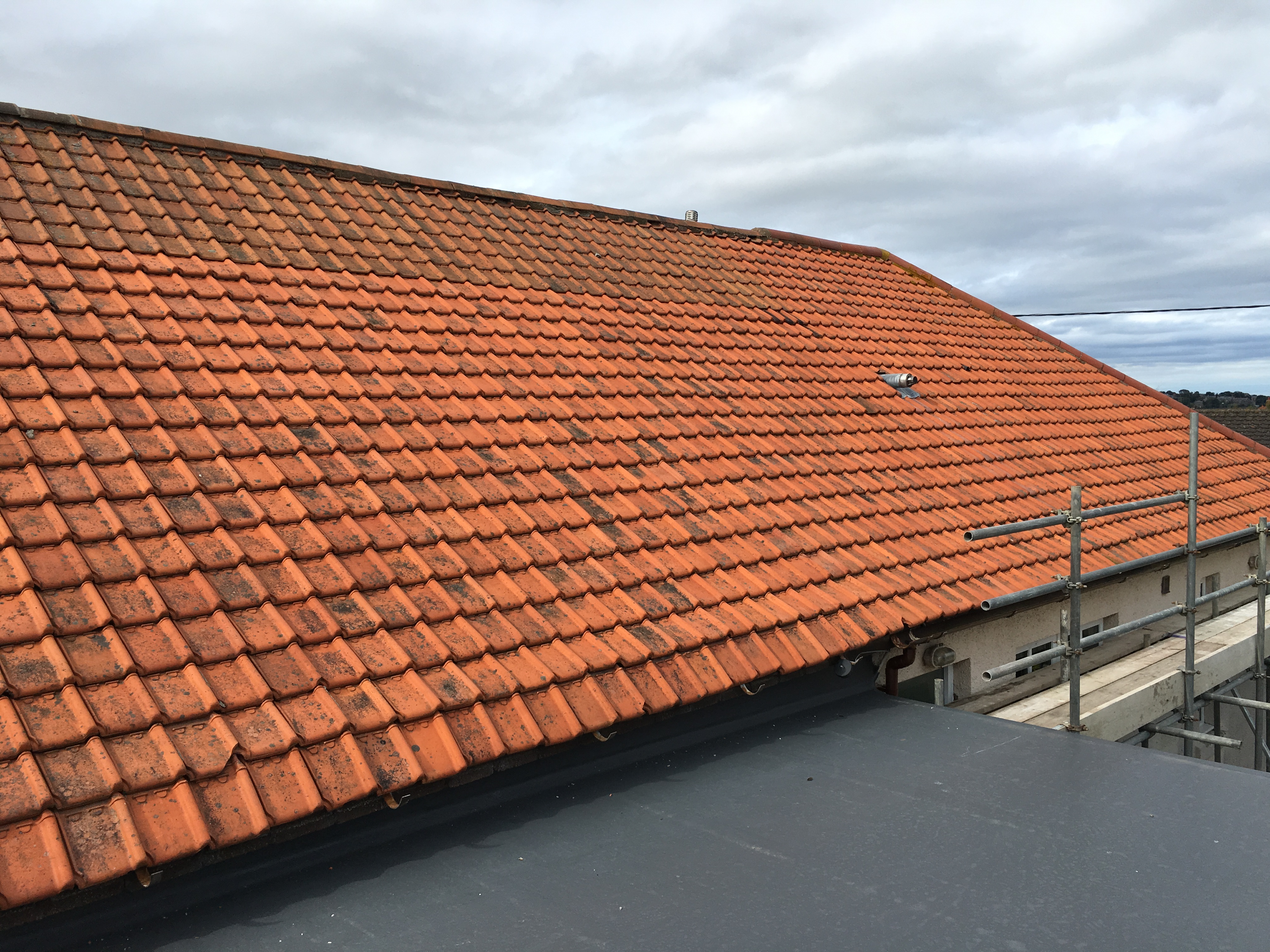 Roof Before