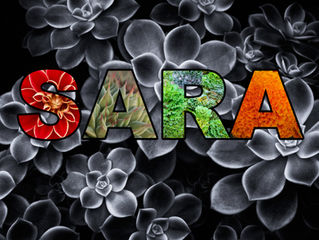 SARA -- My Name in Pictures