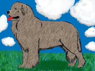Colored Pup