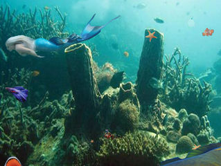 Under Da Sea