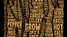 Cooking Word Cloud