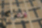 EAI_MGR_Provance-061723-OB00138.jpeg