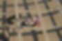 EAI_MGR_Provance-061723-OB00138.jpeg