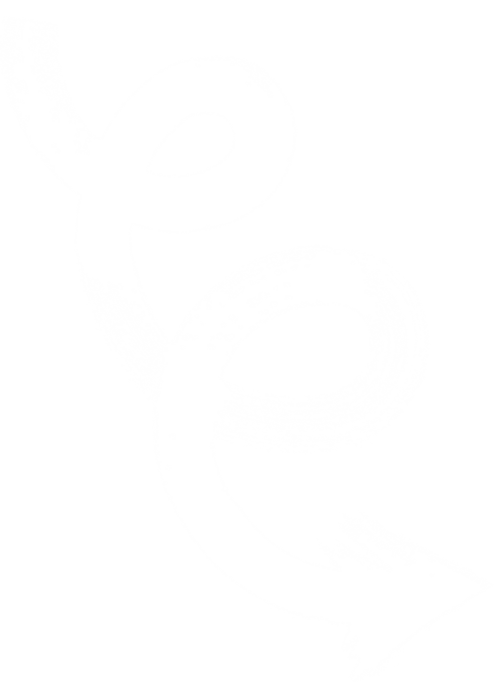 fleche-tourbillon-white.png