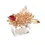 Thumbnail: Zenith Napkin Rings in Champagne | Set of 4 | Baccarat x Kim Seybert