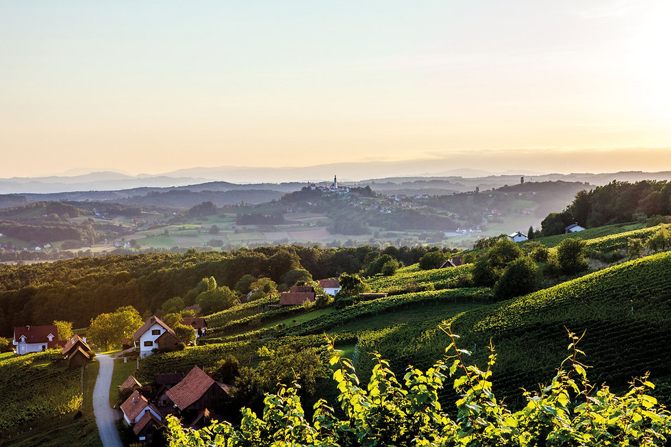 Blick auf den Kirchenberg in Straden. ©