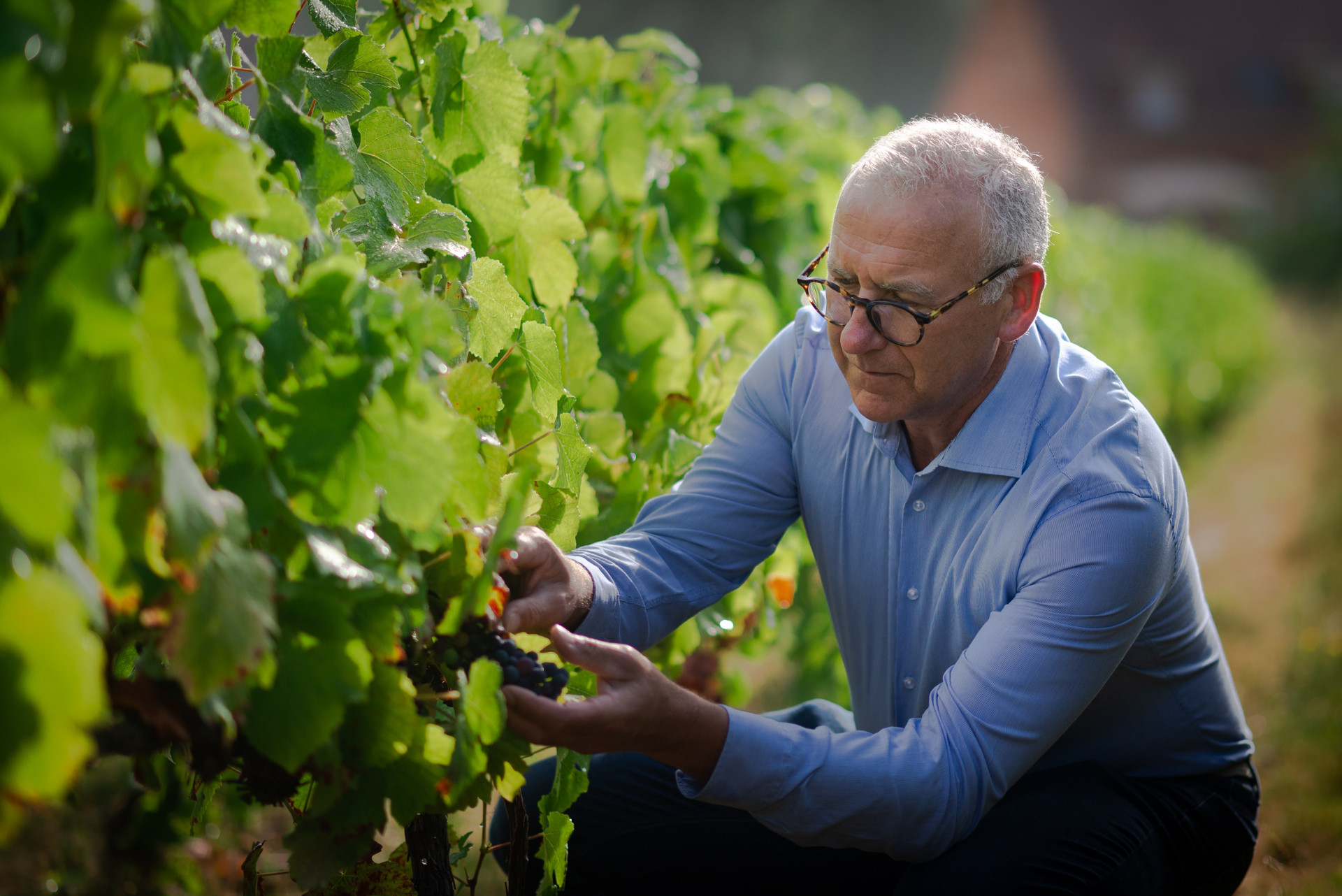 Image by Sven Wilhelm