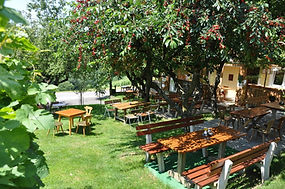 Buschenschank Streuobstgarten - Weinbau