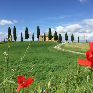 SIENA, PIENZA & MONTEPULCIANO