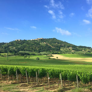 CHIANTI & VAL D'ORCIA TOUR