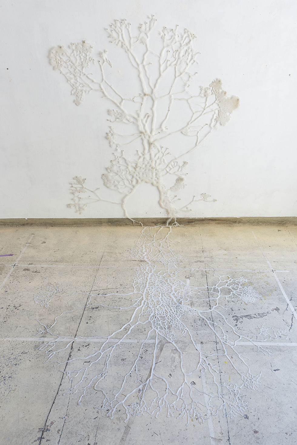 Le Città Invisibili XXVIII - 2024