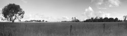 Untitled_Panorama303