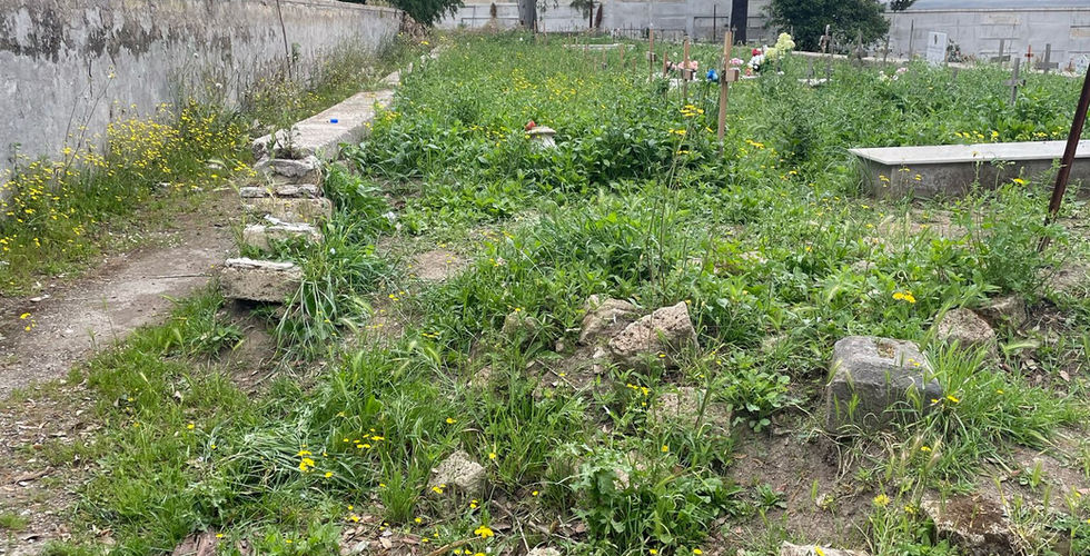 il degrado del cimitero nuovo di napoli