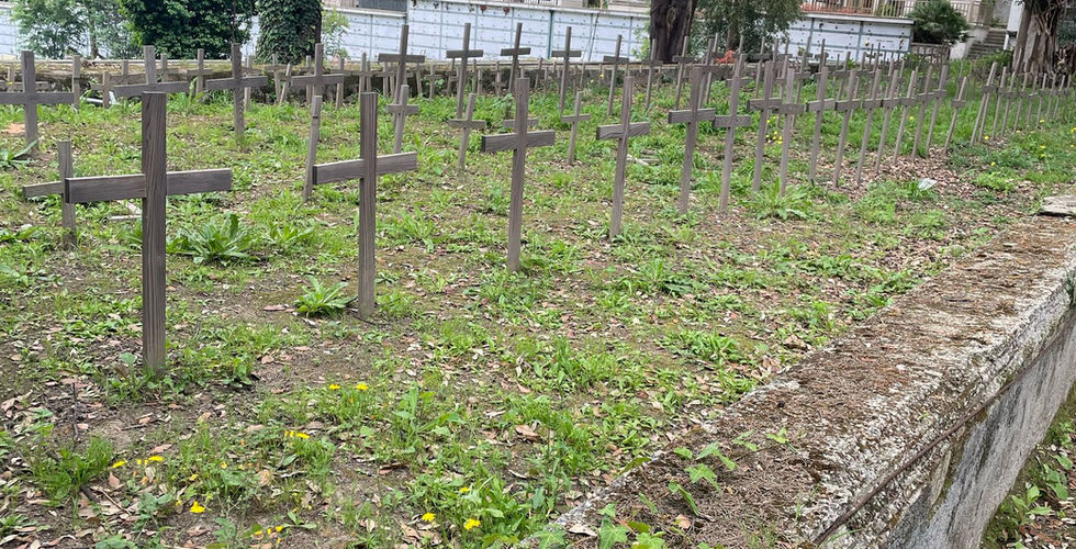 il degrado del cimitero nuovo di napoli