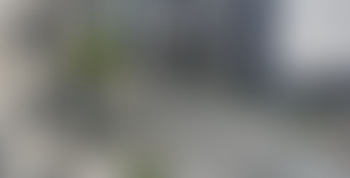 il degrado del cimitero nuovo di napoli