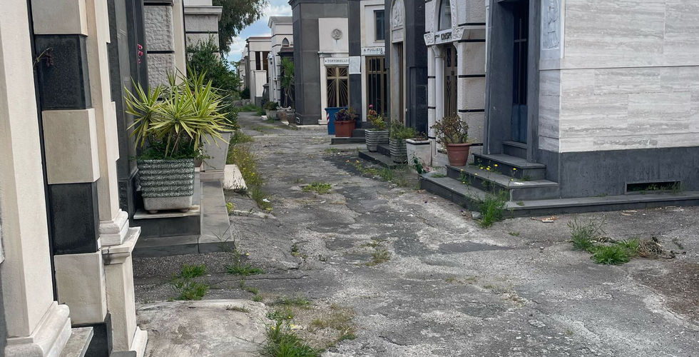 il degrado del cimitero nuovo di napoli