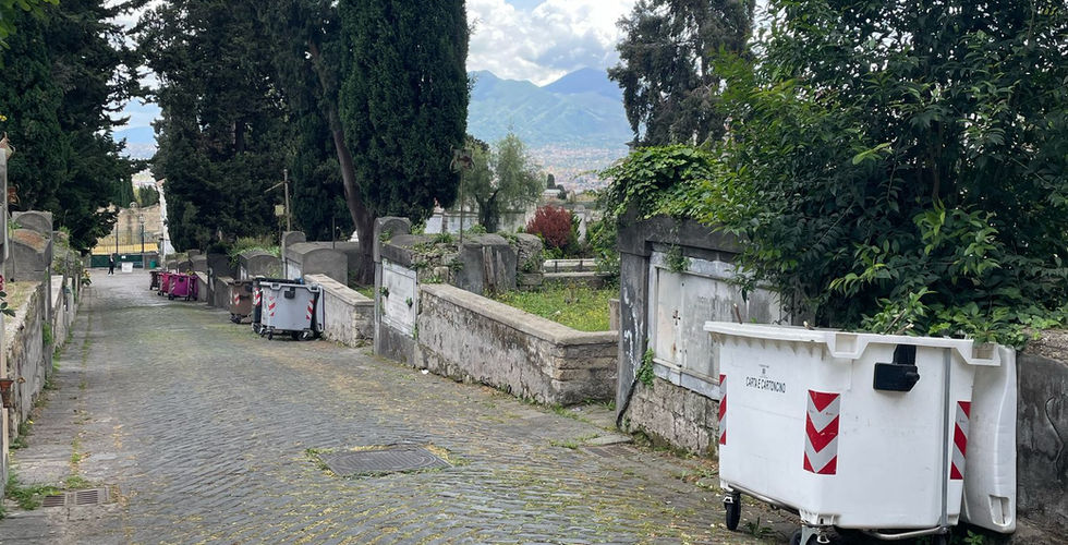 il degrado del cimitero nuovo di napoli