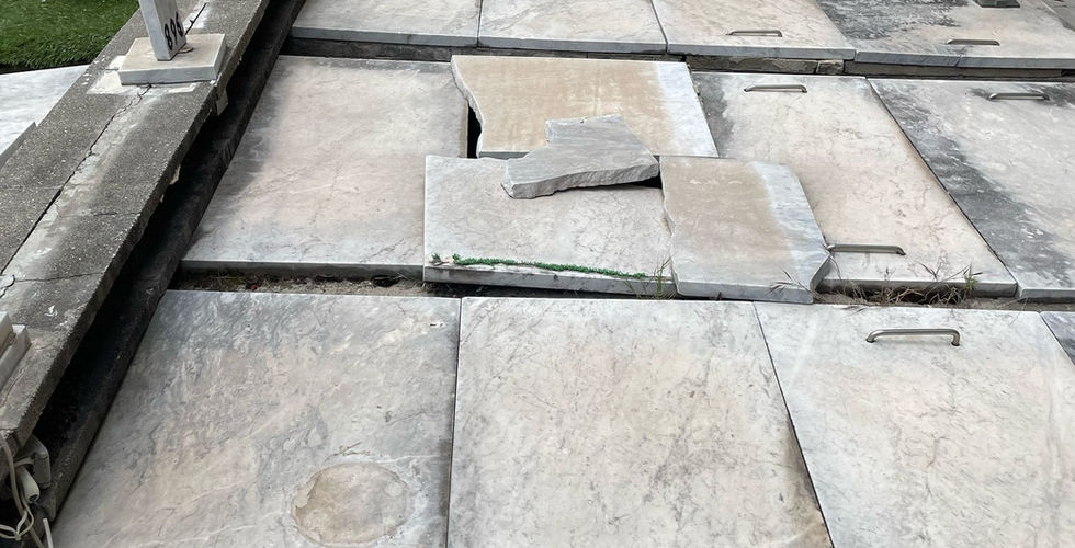 il degrado del cimitero nuovo di napoli