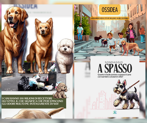 Ossidea: il progetto.