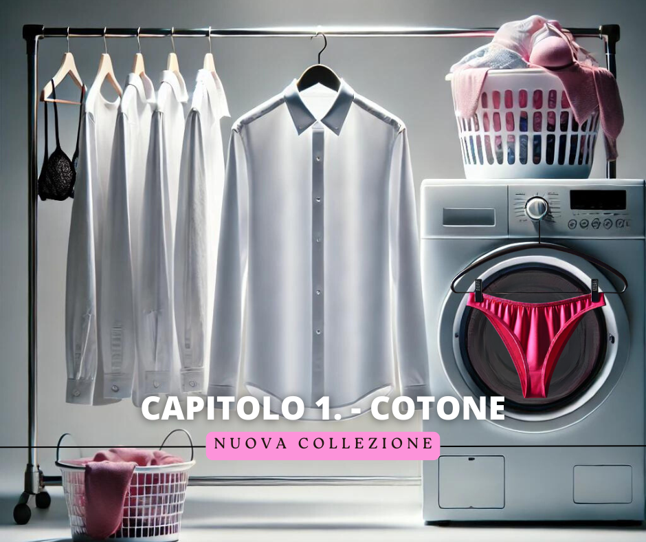 Capitolo 1 - Cotone
