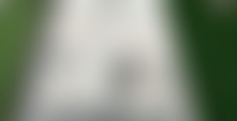 il degrado del cimitero nuovo di napoli