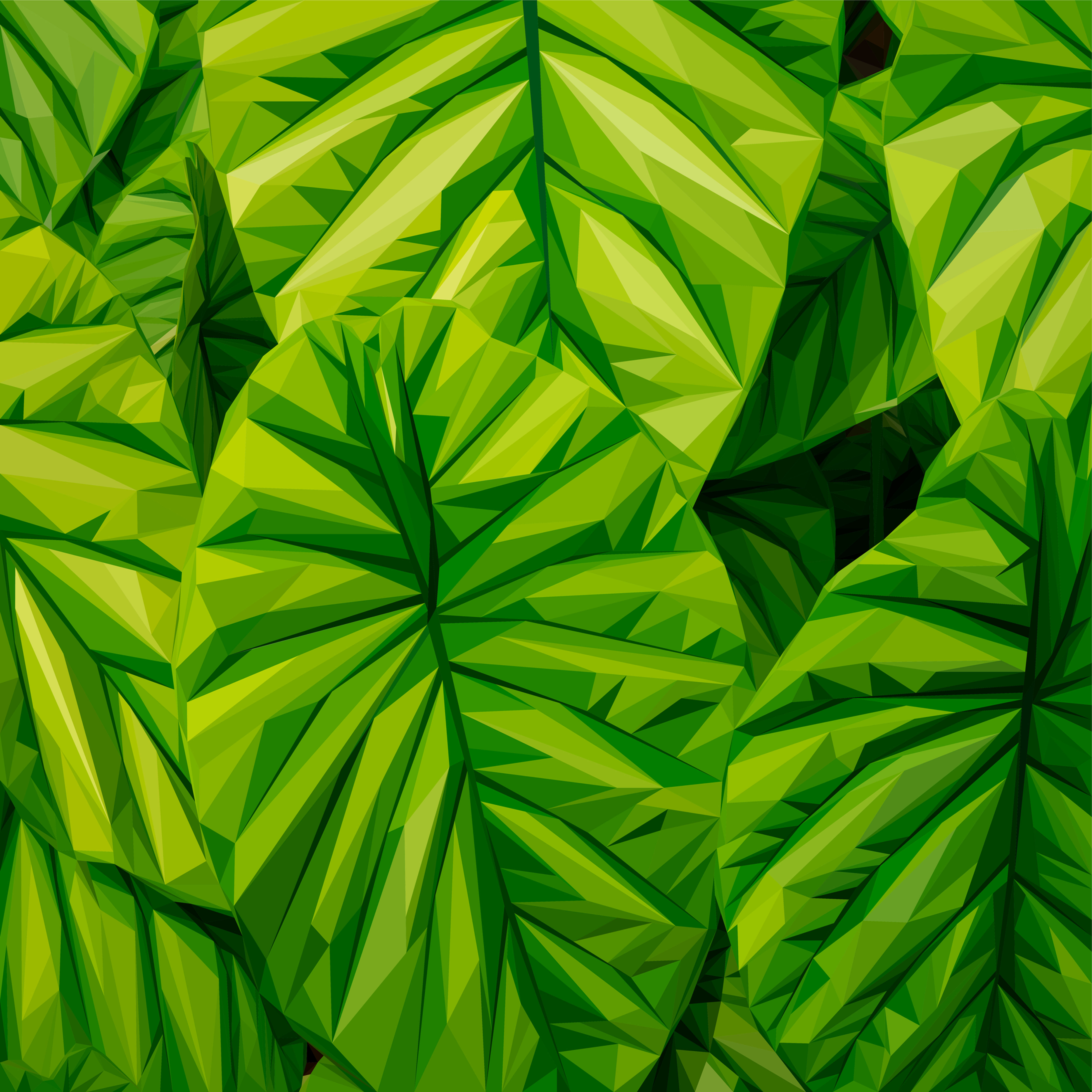 Alocasia Cuprea (Elephant Ears) - Andy Walker