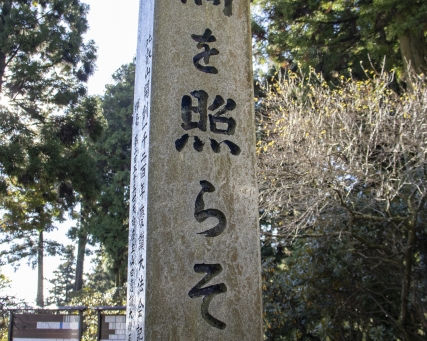 一隅を照らす