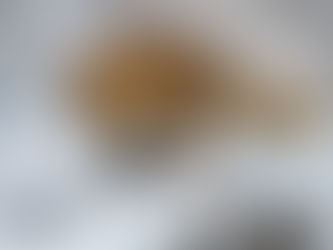 〔2025年お世話になりました〕ユーファーストの意味を深めて