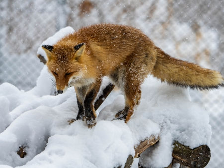 〔2025年お世話になりました〕ユーファーストの意味を深めて
