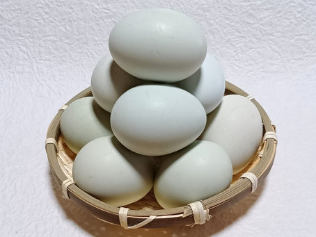 卵を一つのカゴに盛らない