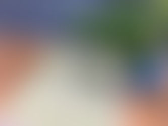 好きなことを仕事にする②