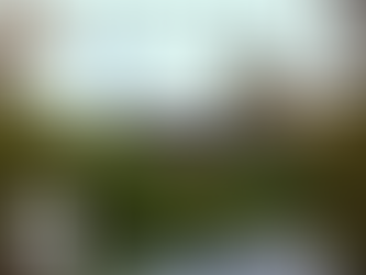 「歴史から学ぶ」と「昔に戻る」の違い