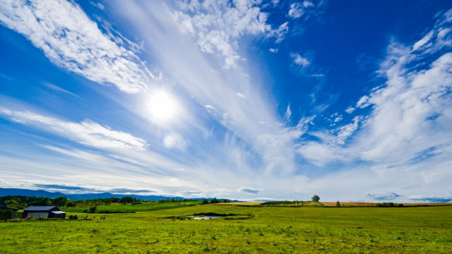北海道の夏の風景