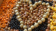 Valentýnská tvorba v 5. B: Když láska kvete z luštěnin