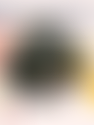 Netball Season has started!