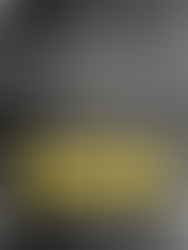 Register Now for Winter Comp 2025! Come & Play Netball!