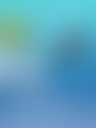 2025 Netball Spring Comp - Register Your Team Now!