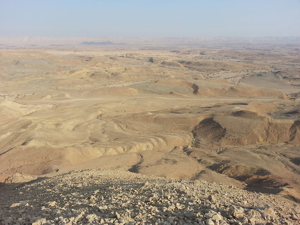 Negev Desert (41)