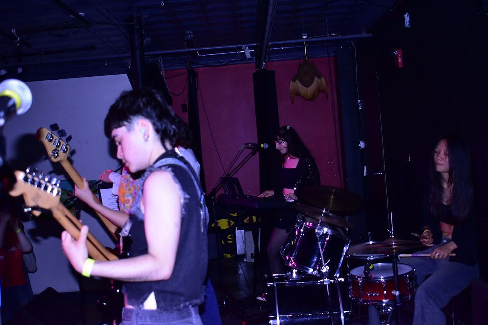 DSC_0138.JPEG