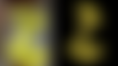 Gummy proteins: a way for people with limited vision to appreciate science