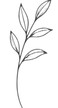 decorative leaf