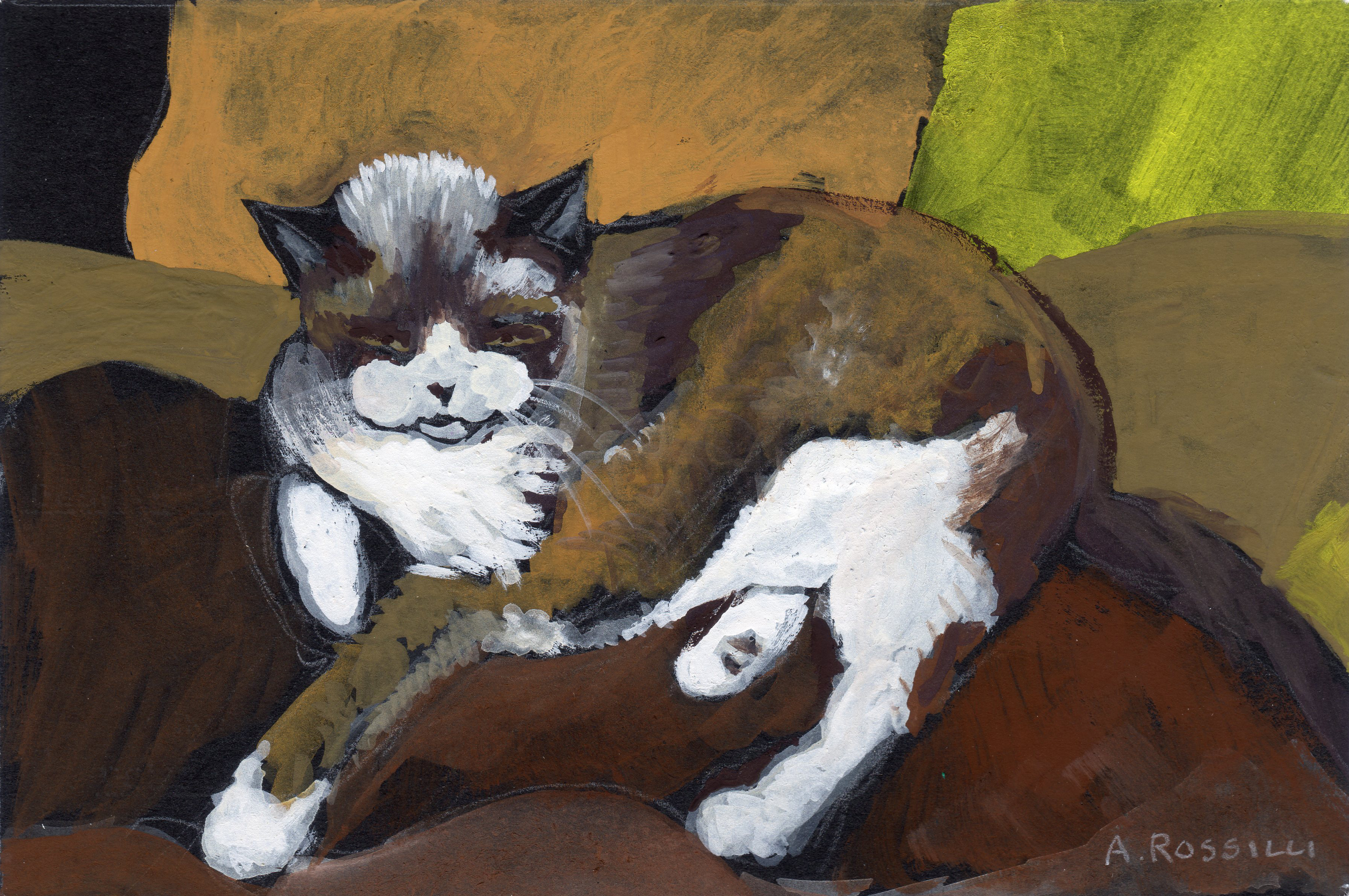 Rockie Portrait