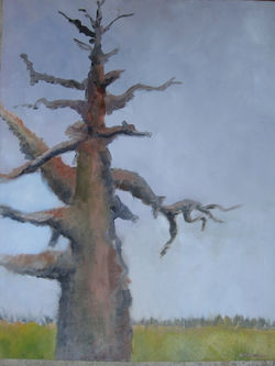 The Ancient Tree, MD